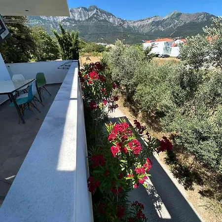 House Constantin アパート *